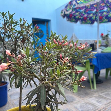 הוילה סידי איפני Casa Morisca מראה חיצוני תמונה