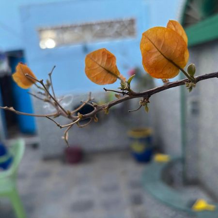 הוילה סידי איפני Casa Morisca מראה חיצוני תמונה