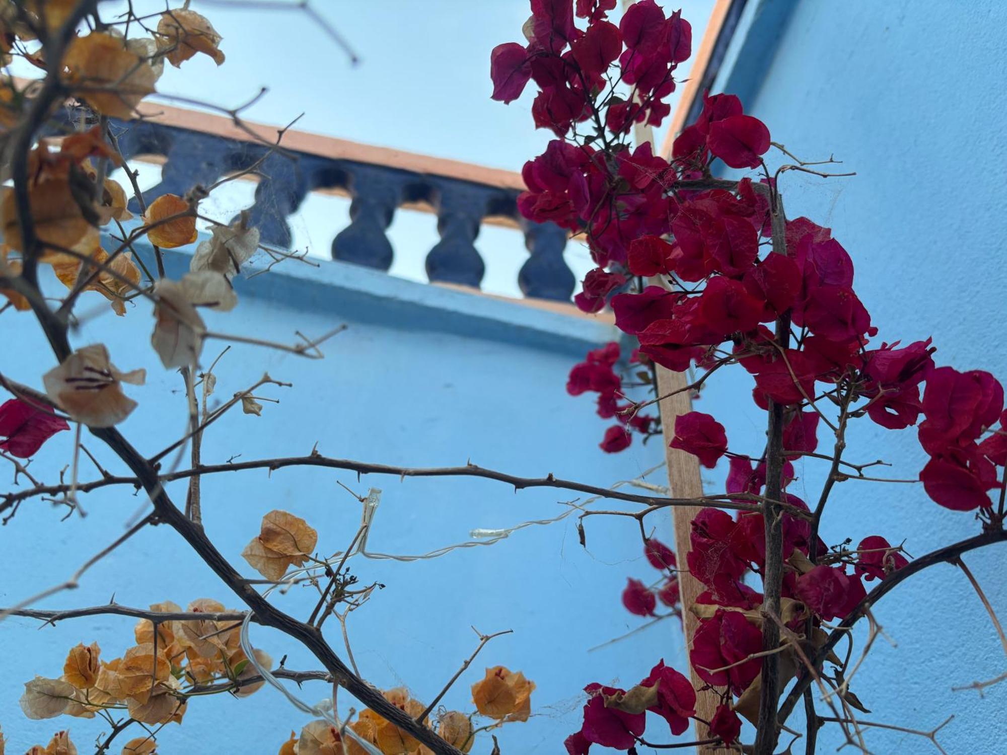 הוילה סידי איפני Casa Morisca מראה חיצוני תמונה